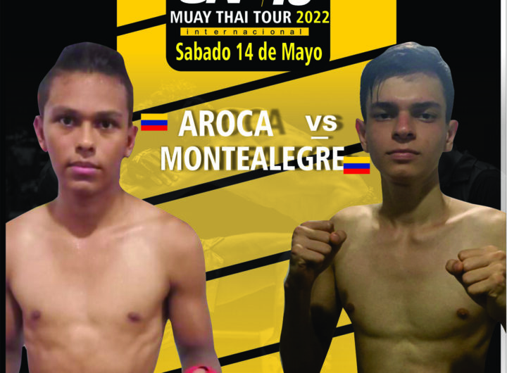 JORMAN VS AROCA